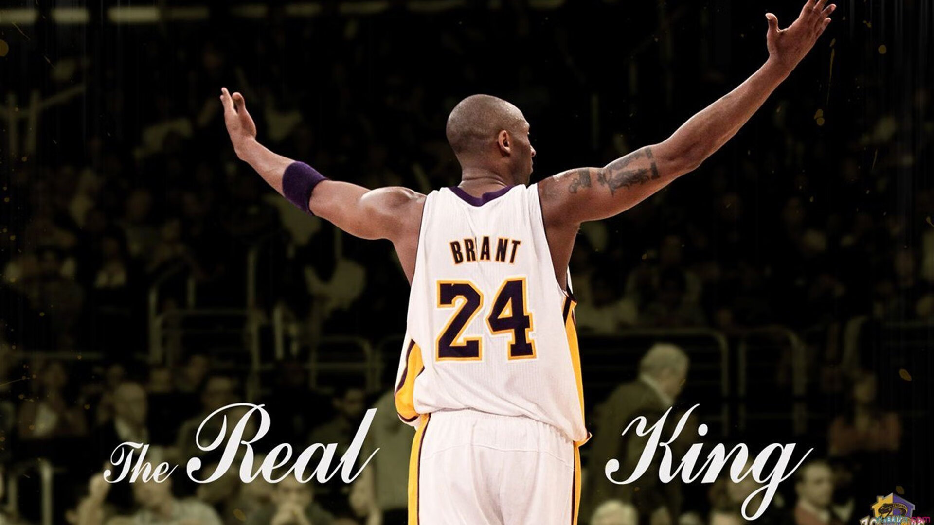 爱游戏ayx-乌兰多决赛节奏分明游出个人风格，乌兰现象